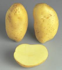 Seed potatoes Marabel